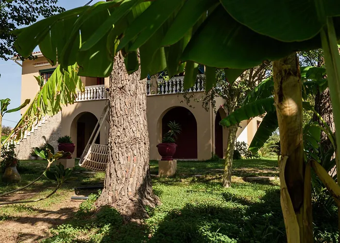 Selini 2nd Floor Panoramic Vineyard Views Σπίτι διακοπών