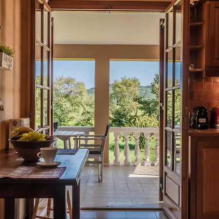 Selini 2nd Floor Panoramic Vineyard Views Tatil Evi Kallithea (Zakynthos)