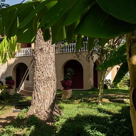 Selini 2nd Floor Panoramic Vineyard Views Tatil Evi