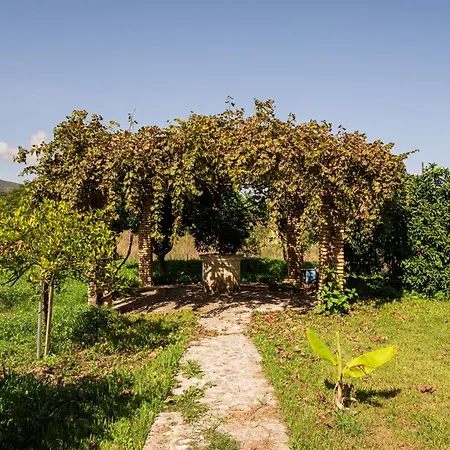 Selini 2nd Floor Panoramic Vineyard Views Tatil Evi *